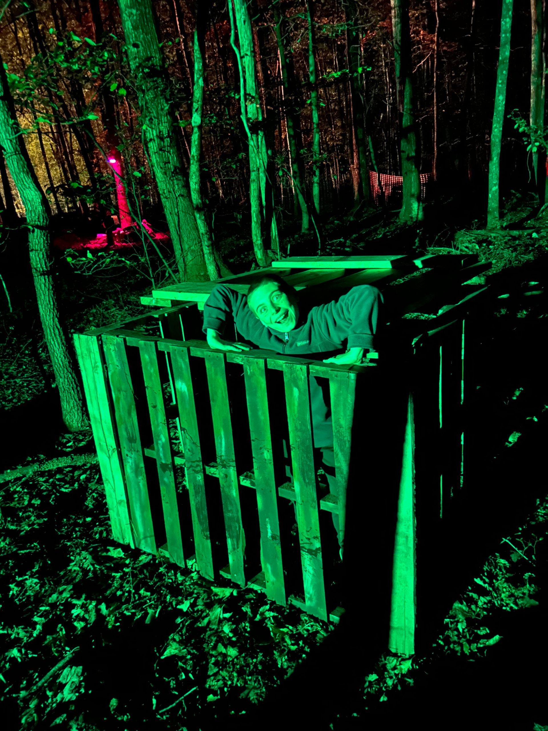 A person in a wooden crate in a dark forest, lit with green light.
