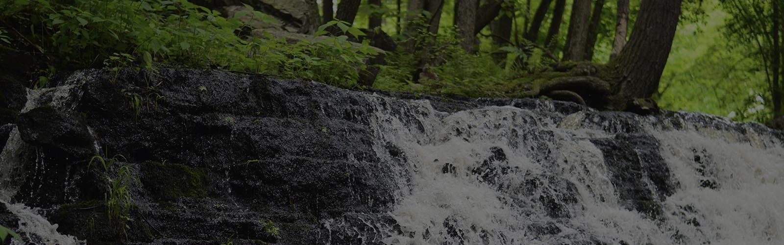 Waterfall cascading over dark rocks, with a background of green foliage and trees.