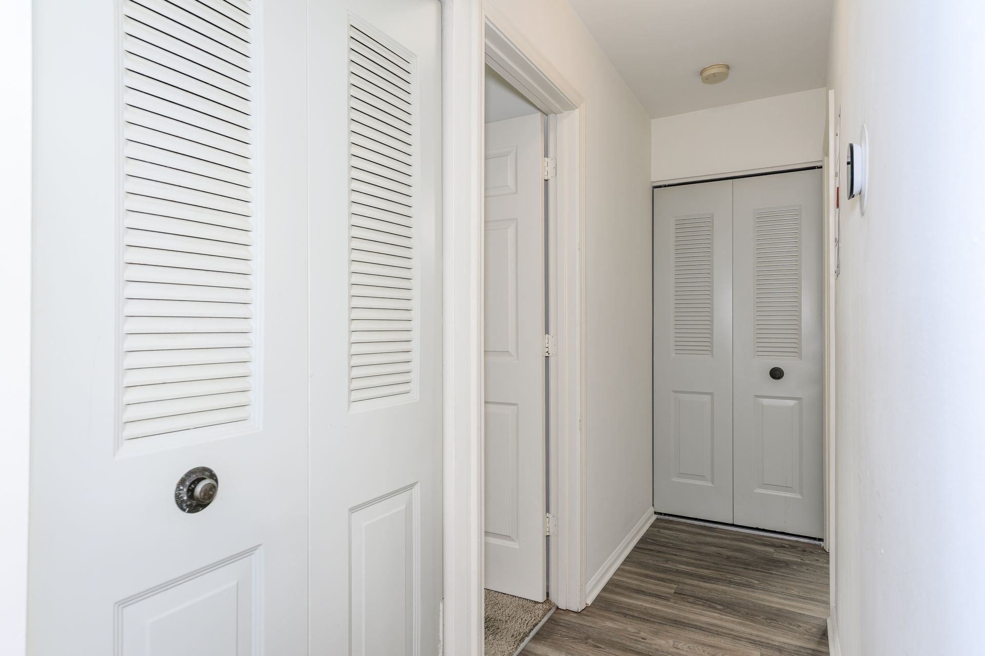 A hallway with white doors and a closet.