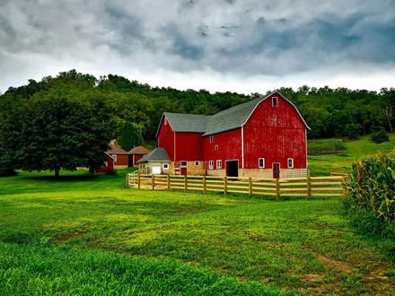 Farm
