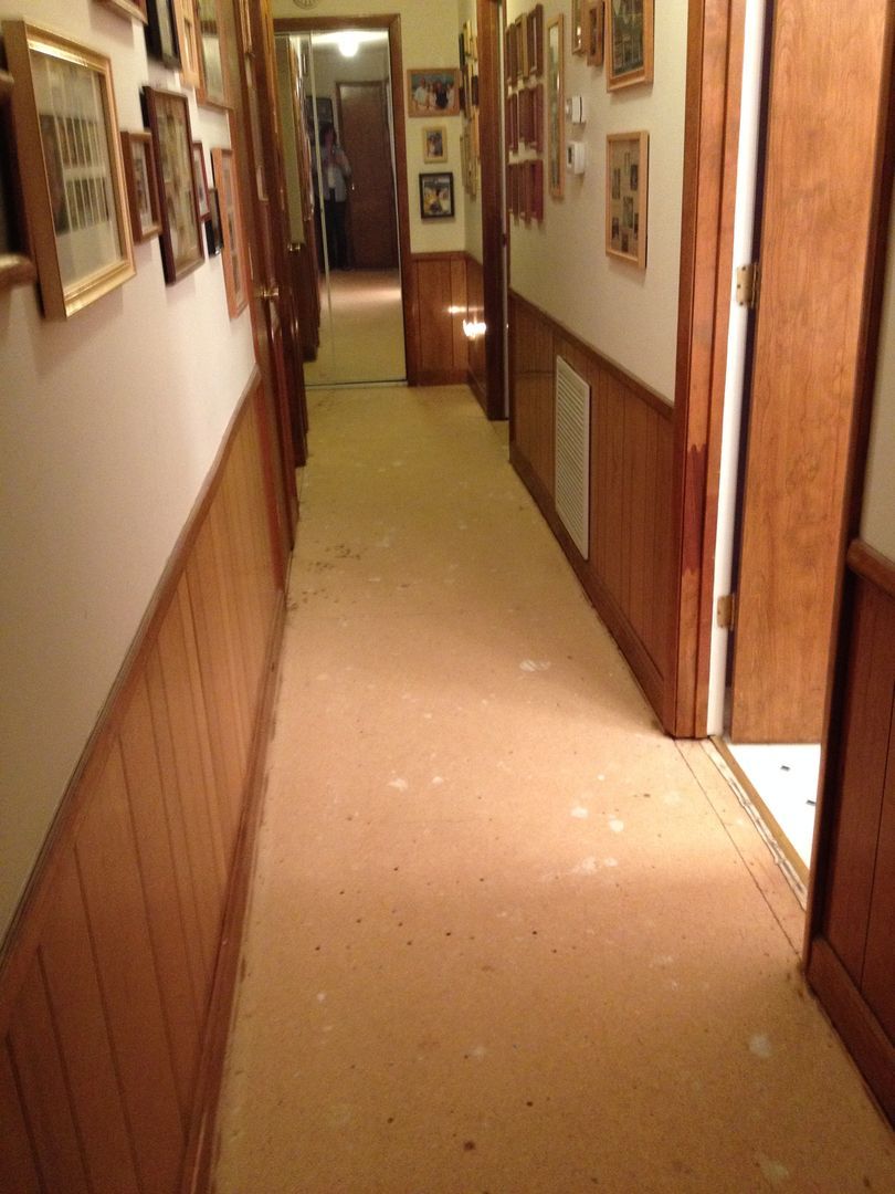 Long hallway with wood paneling on walls and carpeted floor. Multiple doorways and framed photos.