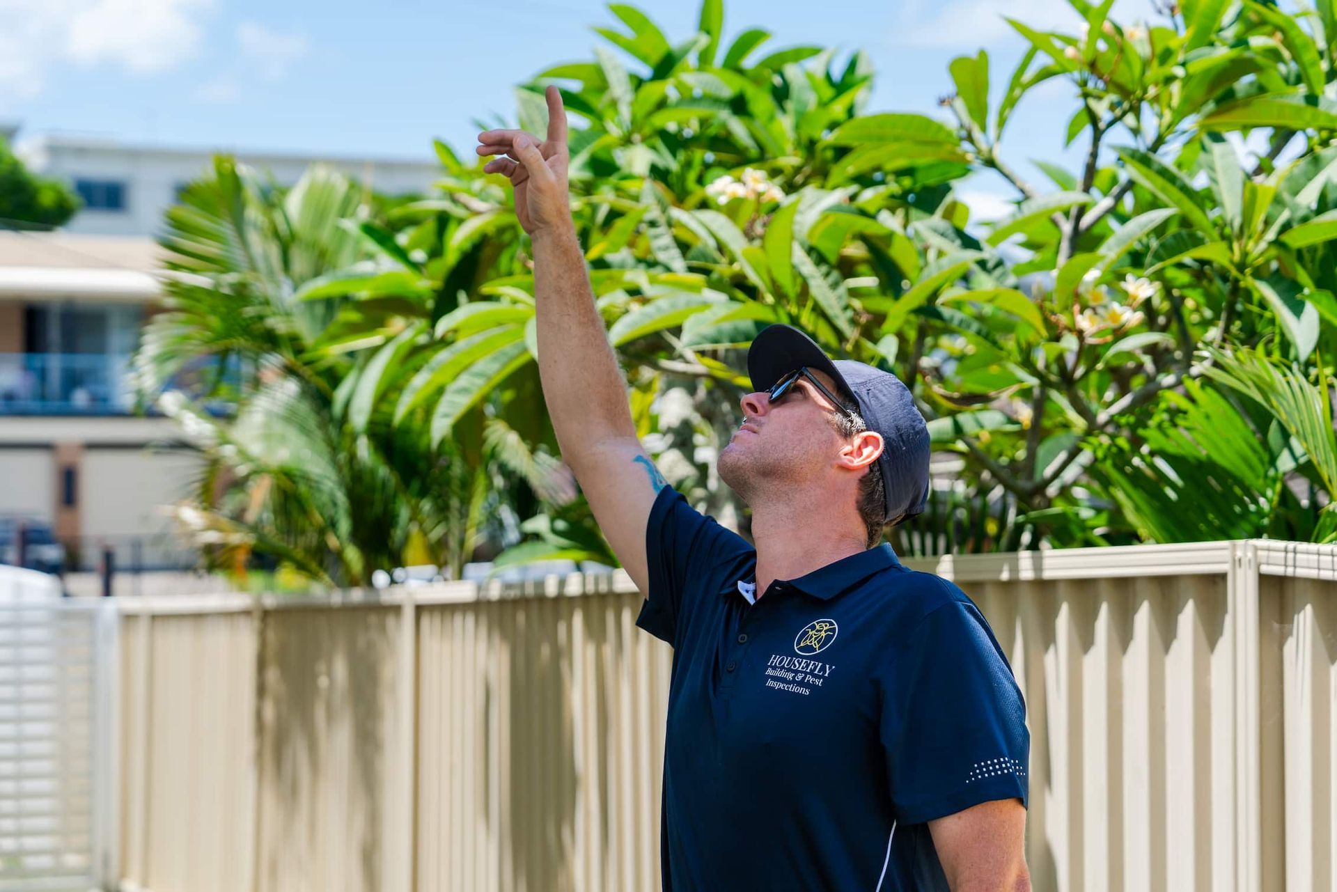 A man is pointing up at a tree in front of a fence.