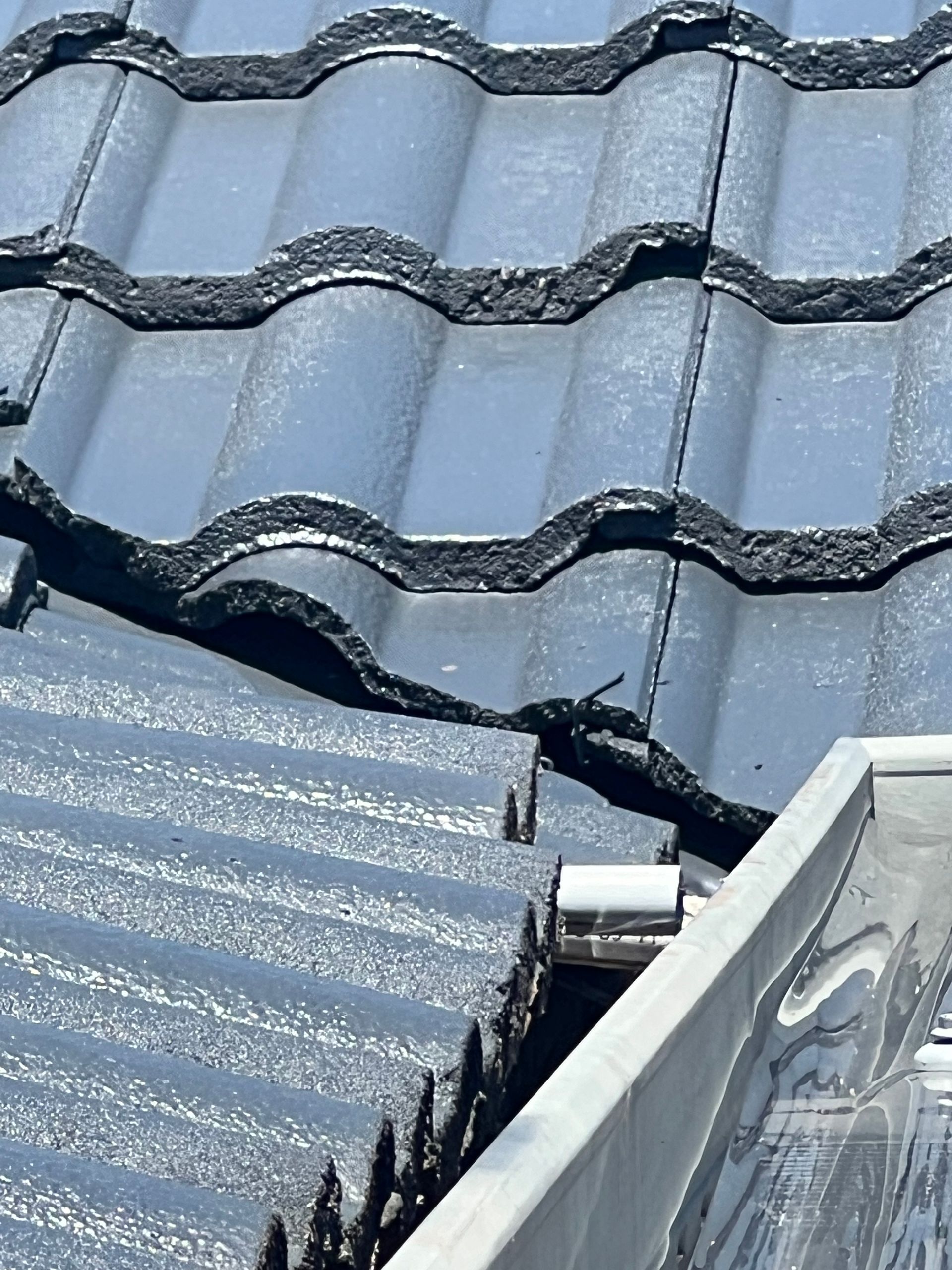 Fascia and Gutter Patchwork