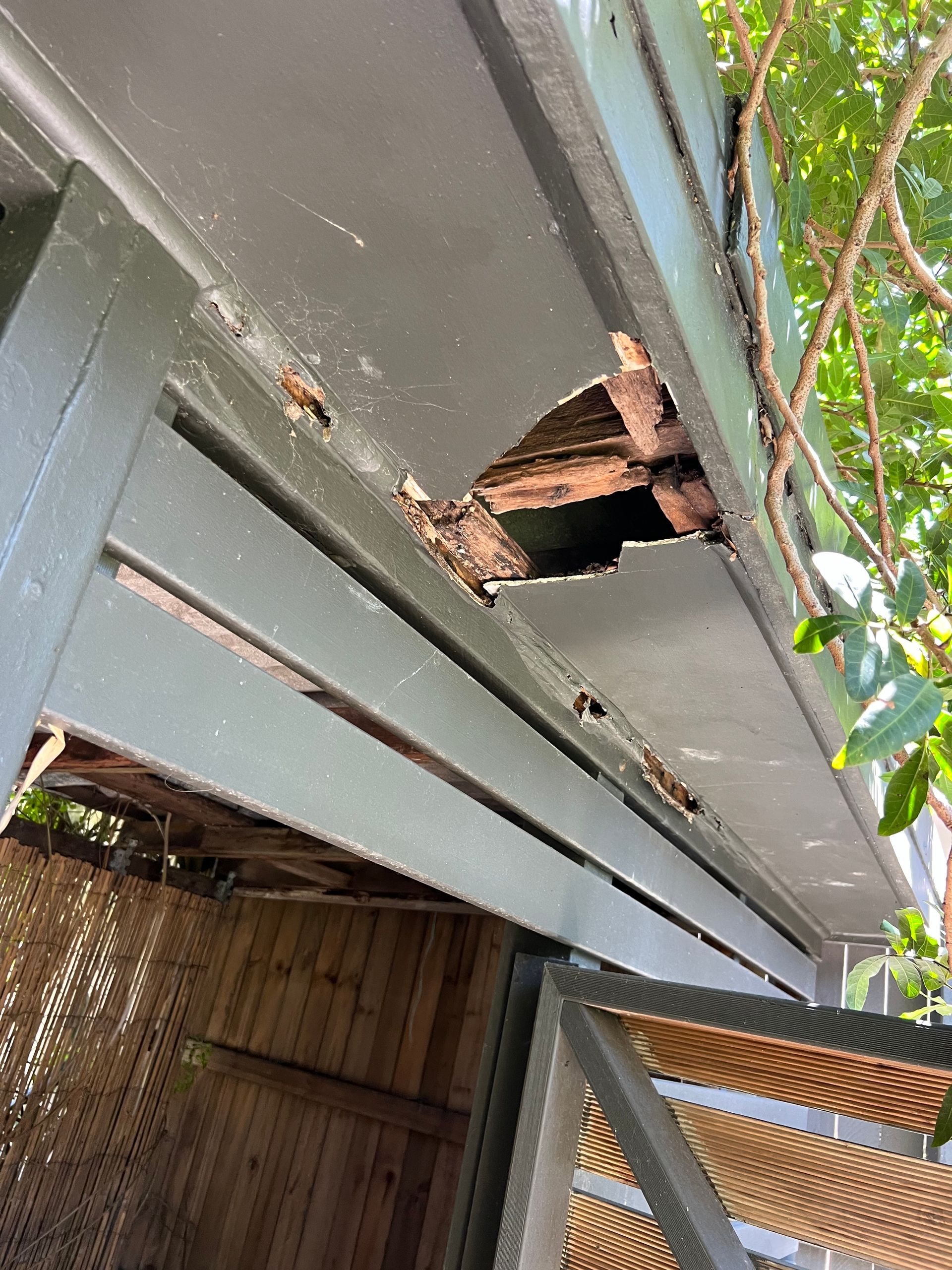 Fascia and Gutter Patchwork