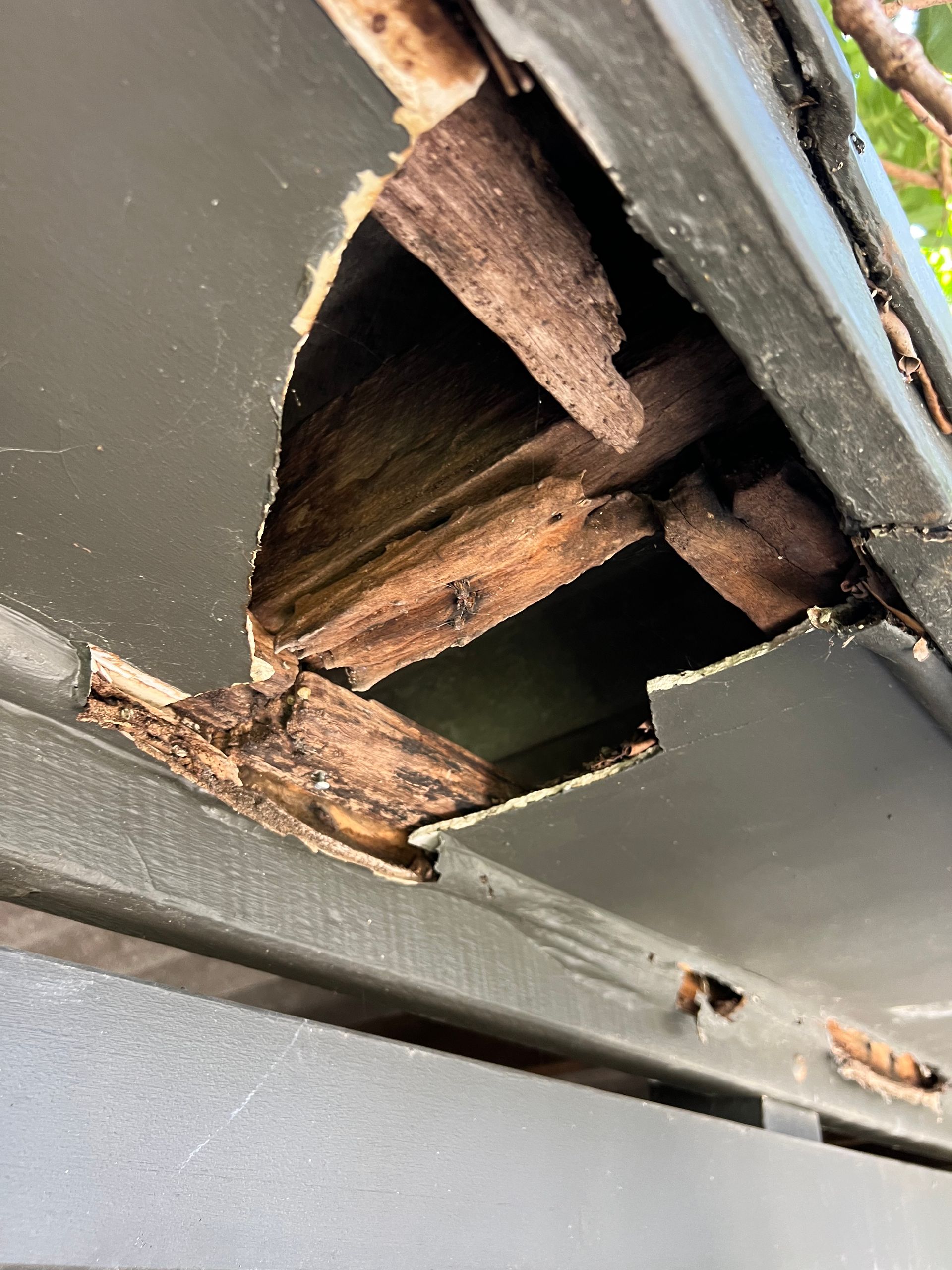 Fascia and Gutter Patchwork