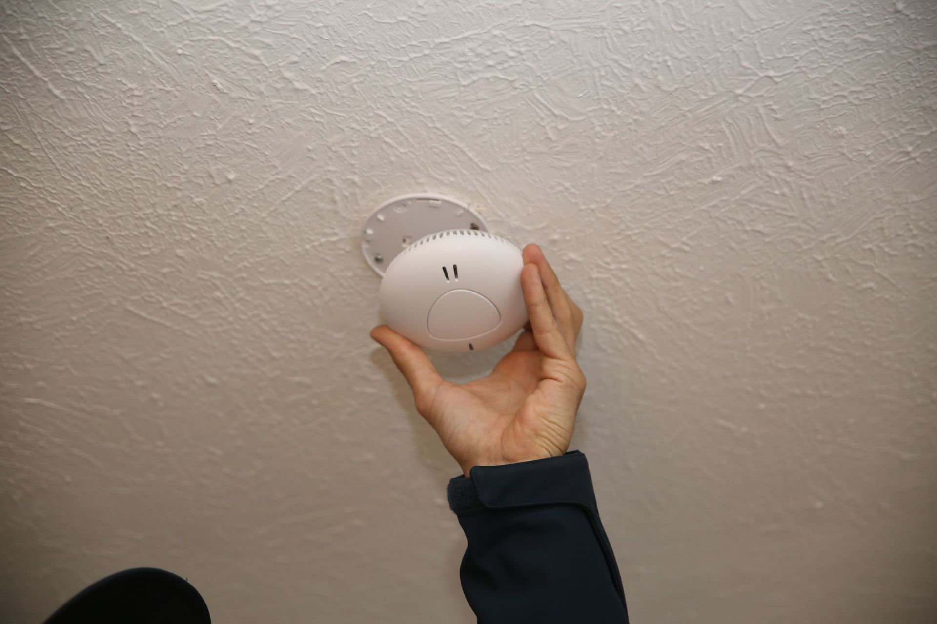 A person conducting a building and pest inspection on the Gold Coast