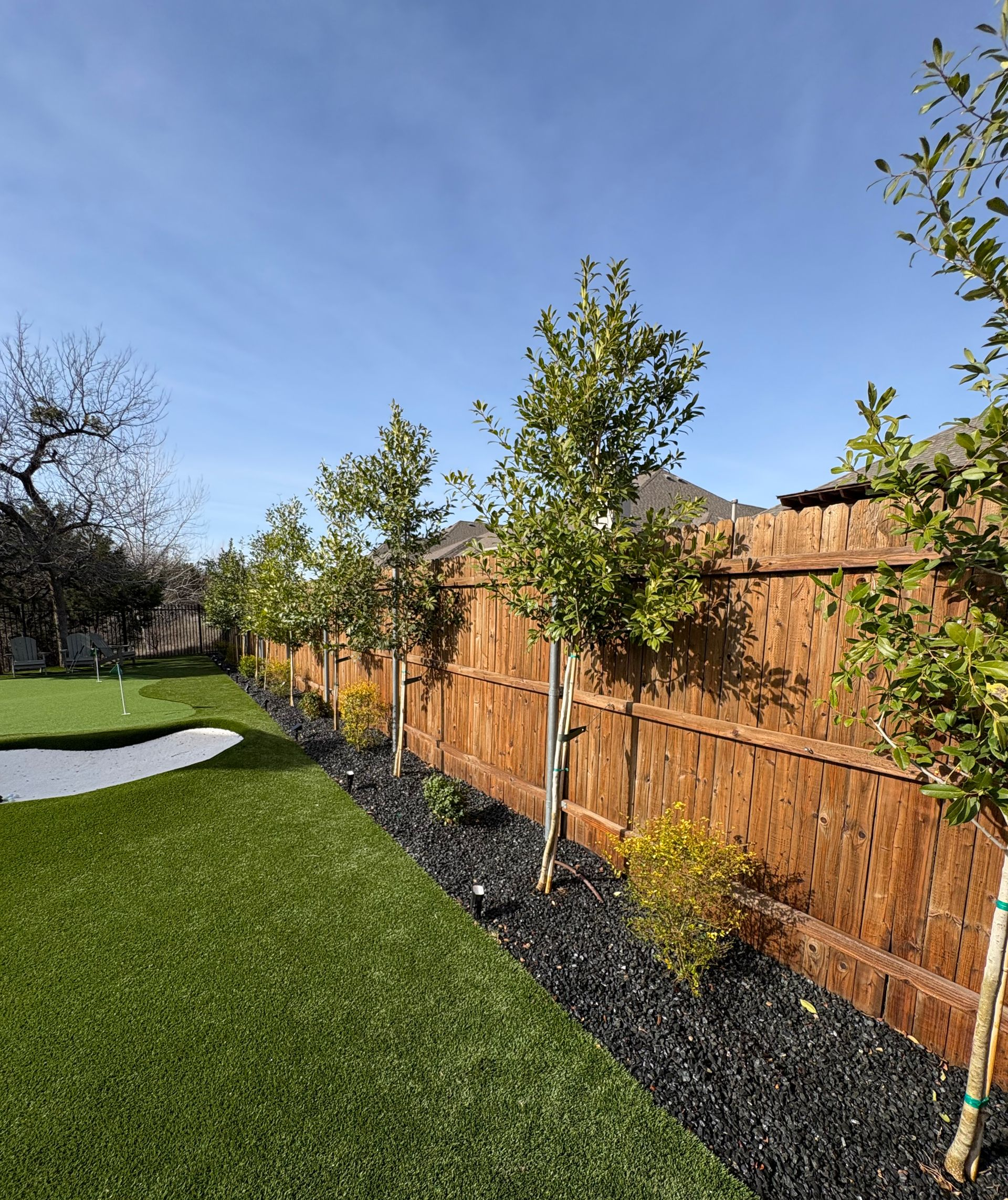 A line of young trees stands in a garden bed with black mulch, alongside a wooden fence and a patch of synthetic grass.