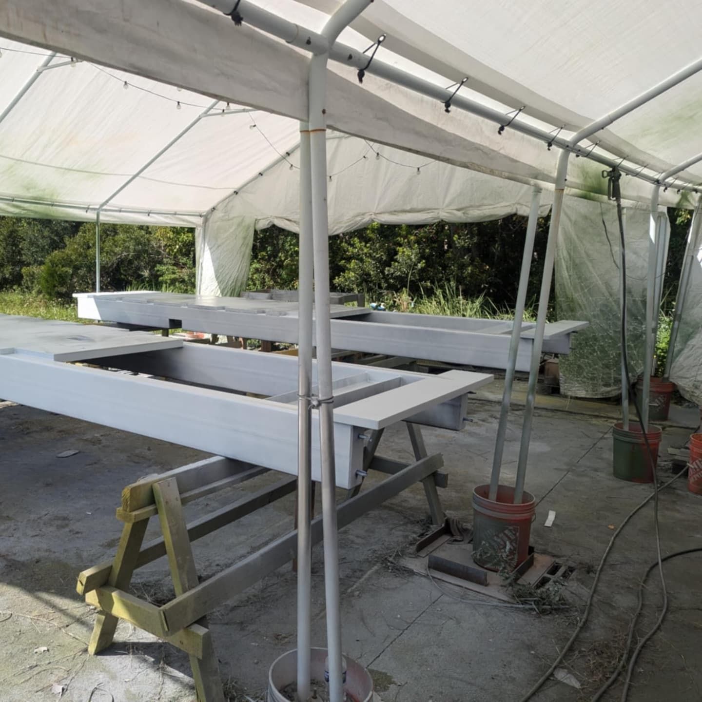 White-painted rectangular structures on sawhorses under a white tent; some potted plants nearby.