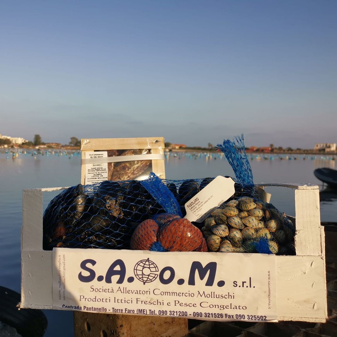 frutti di mare sicilia