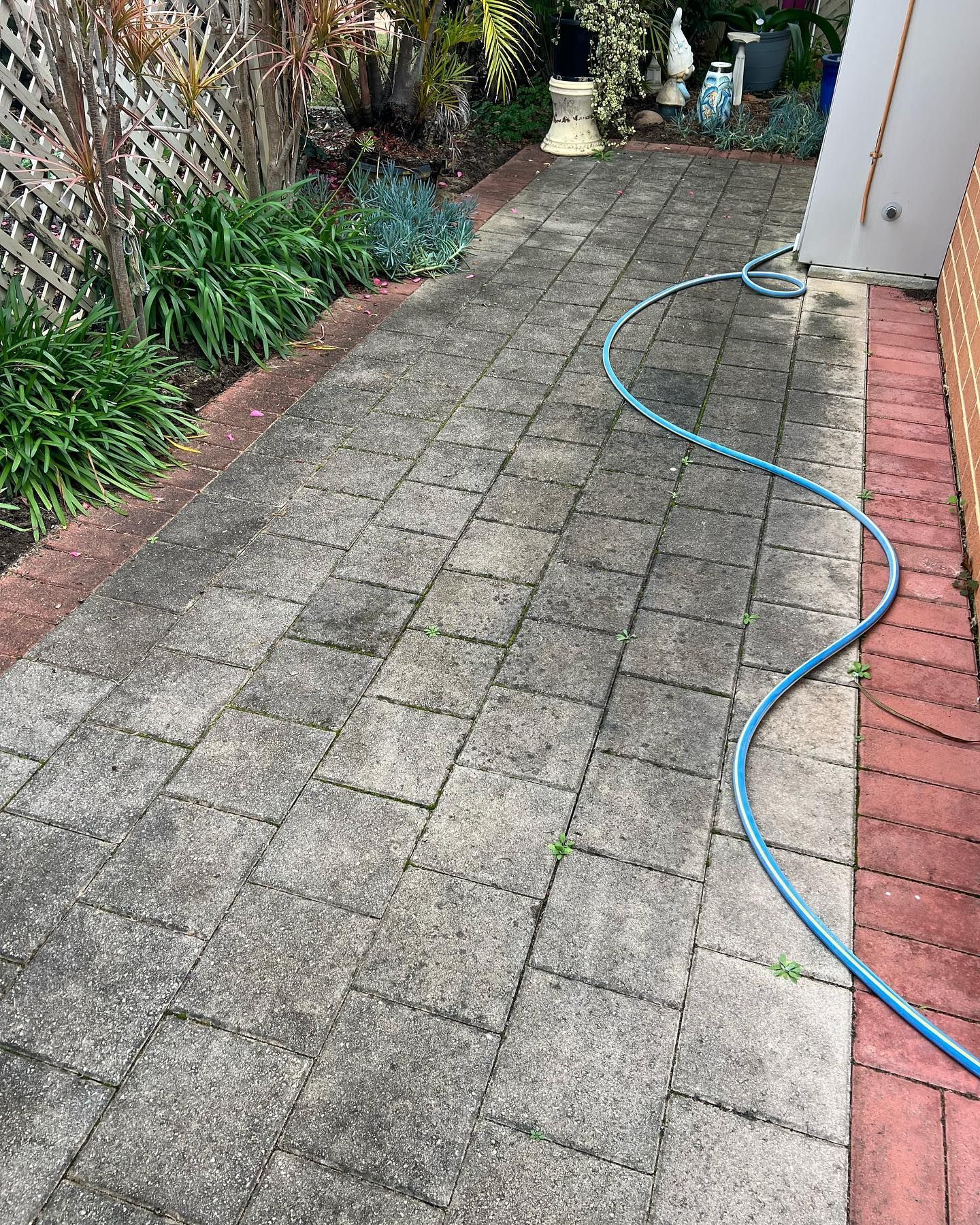 A hose is being used to clean a brick walkway.