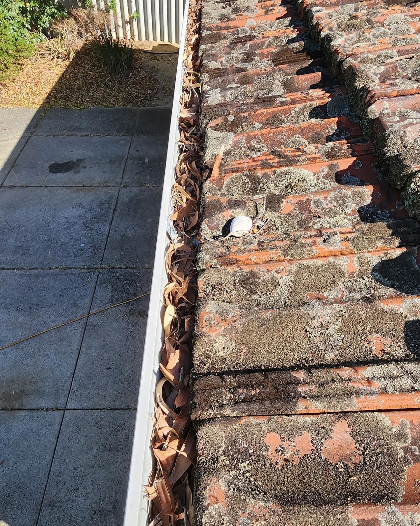 A close up of a gutter on a roof with leaves on it.