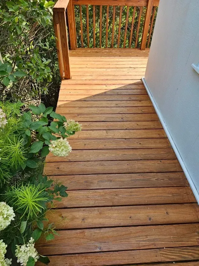 Wooden deck leading to a railing, surrounded by greenery and a white wall.