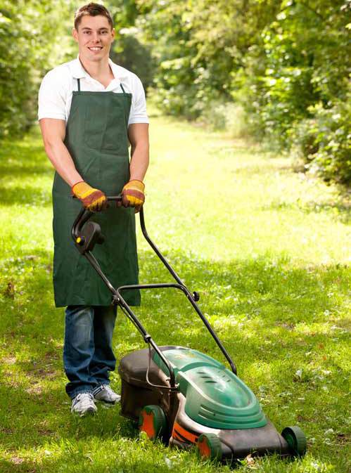 Expert providing lawn mowing services in Auckland