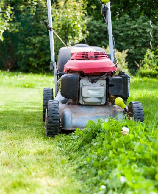 Mower providing lawn mowing services