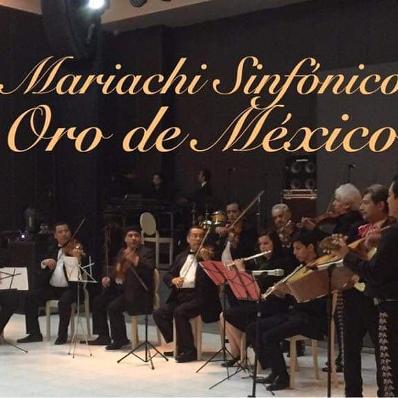 Mariachi Oro de México – Mariachi con acordeón y salterio