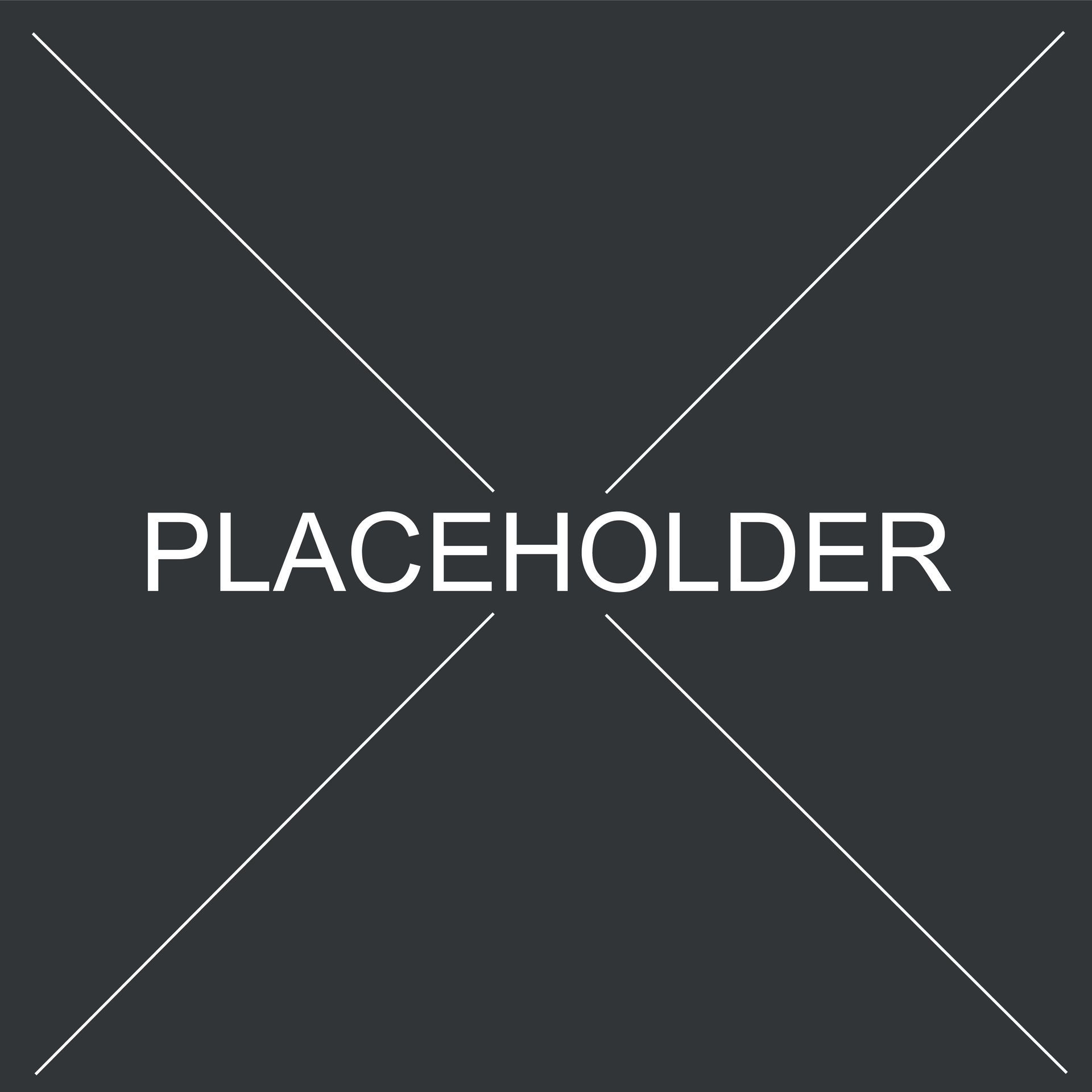 Dark gray placeholder graphic with a white X and the word “PLACEHOLDER” across the center