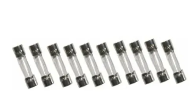 Ten glass cartridge fuses arranged in a row on a white background