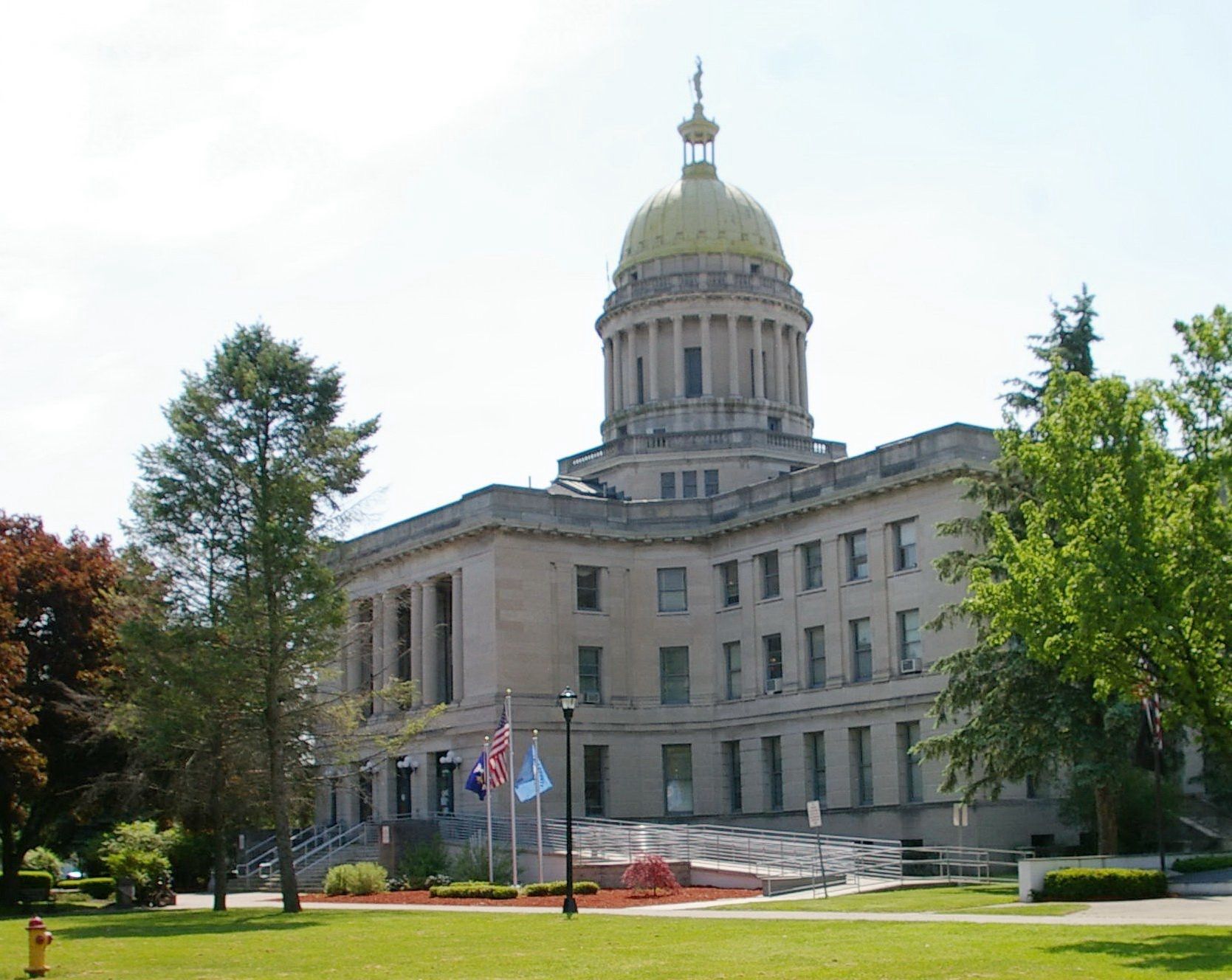 Lawyer Reading a Document