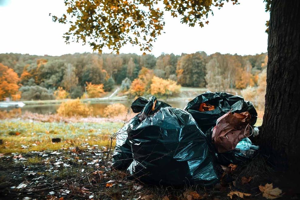 Black trash bags piled near a tree, scenic autumn background.