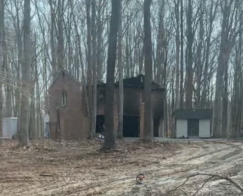 A house is surrounded by trees in the middle of a forest.