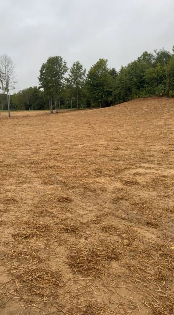 A large dirt field with trees in the background.