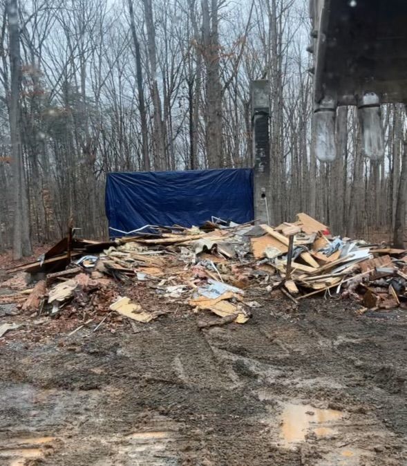 A pile of wood is sitting in the middle of a forest.