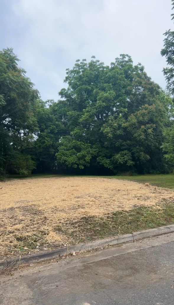 There is a large tree in the middle of a field.