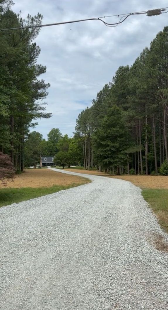 A gravel road going through a forest with trees on both sides.