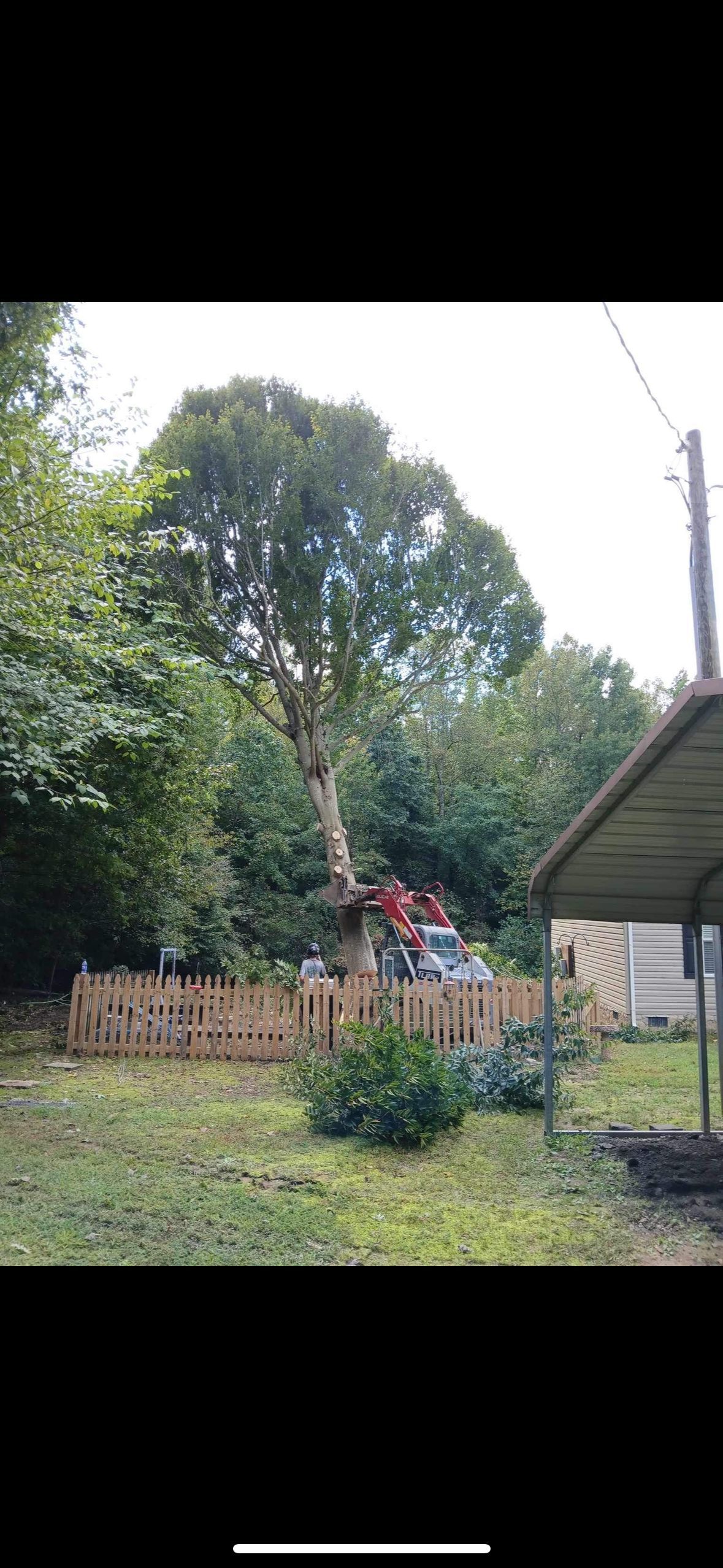 A large tree has fallen on a house in a backyard.