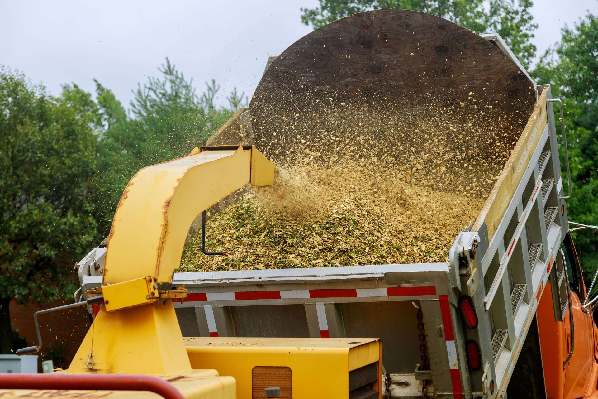 chainsaws, wood chippers, tree removal, tree trimming, tree removal midlothian va