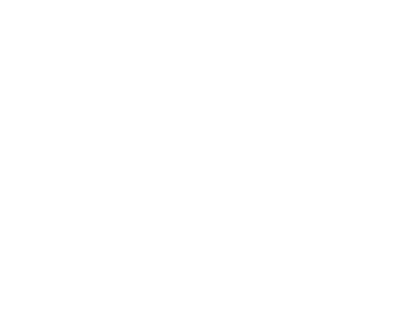 Moroccan carpet free shipping in New York USA and international