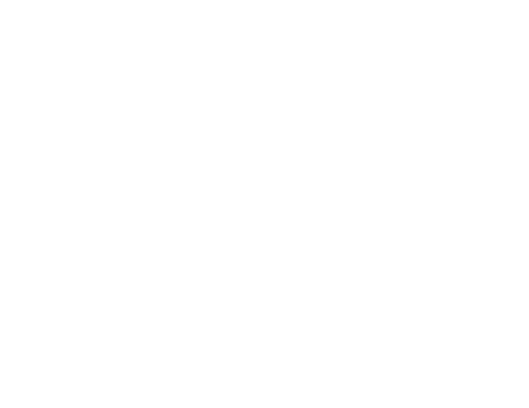 Cheap Berber moroccan rug in New York Icone Fair trade