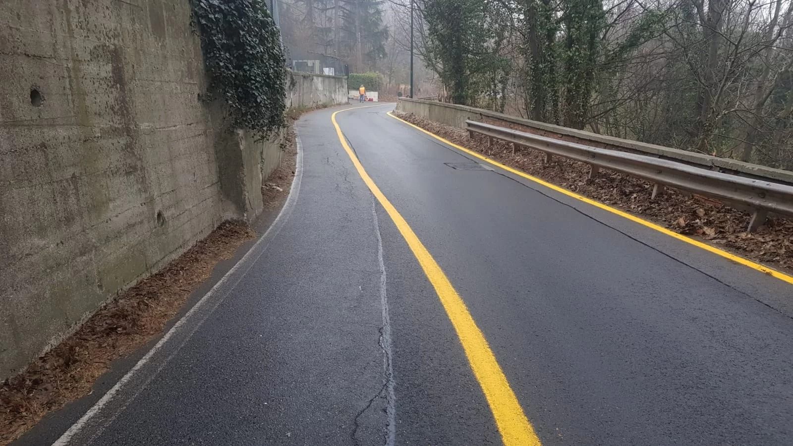 Una strada asfaltata serpeggia attraverso una zona boschiva, con una segnaletica orizzontale gialla sulla destra e un muro di contenimento in cemento.