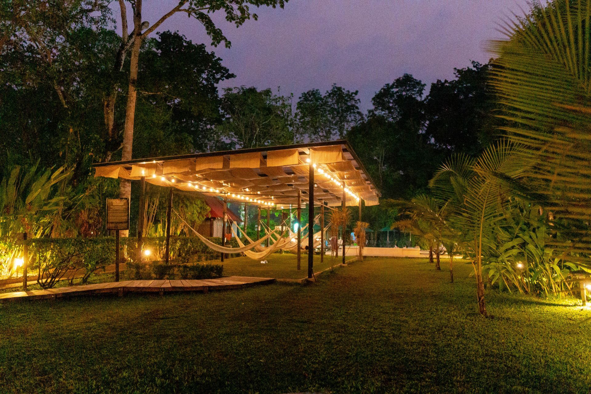 Un área cubierta con luces y hamacas en un jardín por la noche.