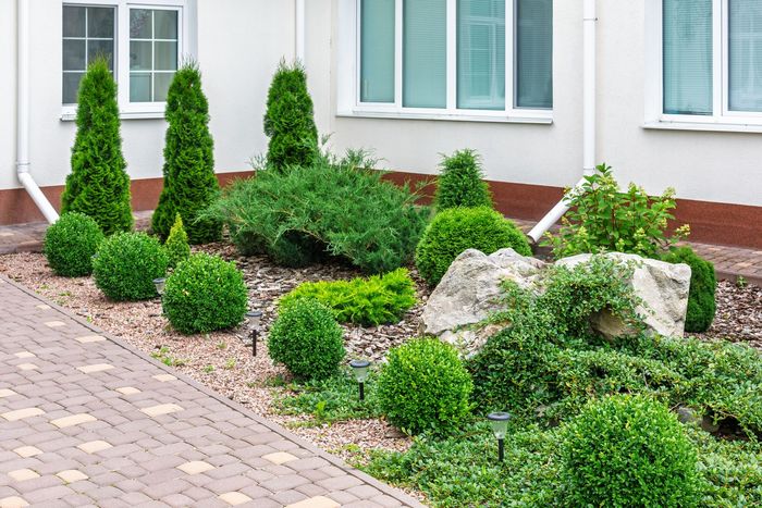 A landscaping bed with manicured round bushes, tall evergreen trees, and a large stone, bordered by a paver walkway.