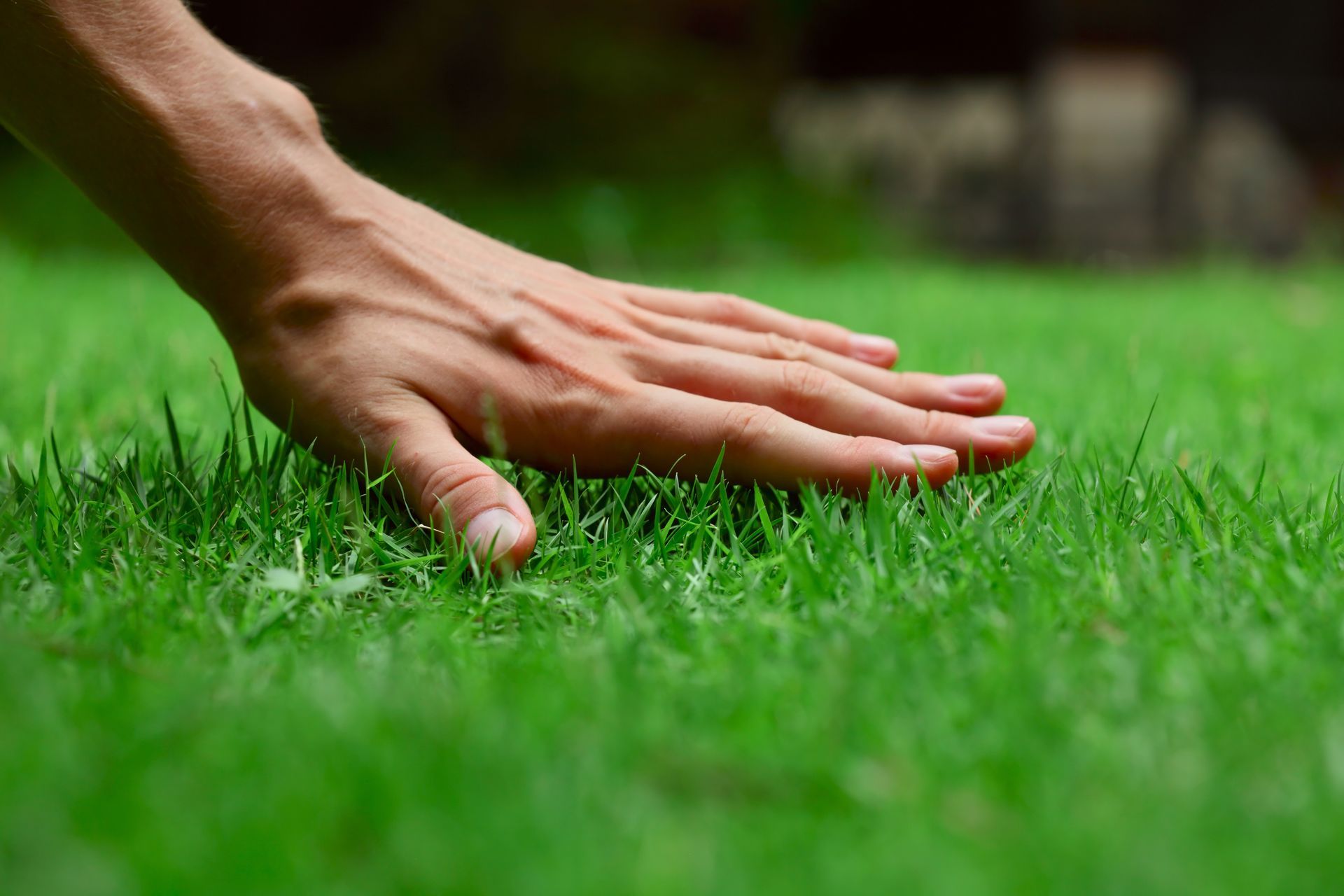 Hand touching lush green grass.