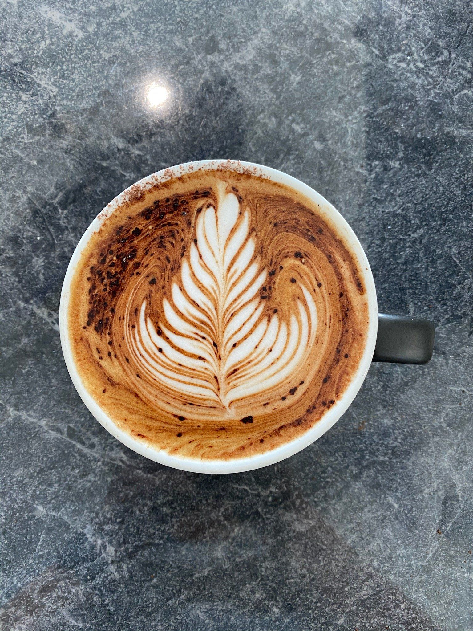 Black Swan Coffee House Mermaid Waters, Australia