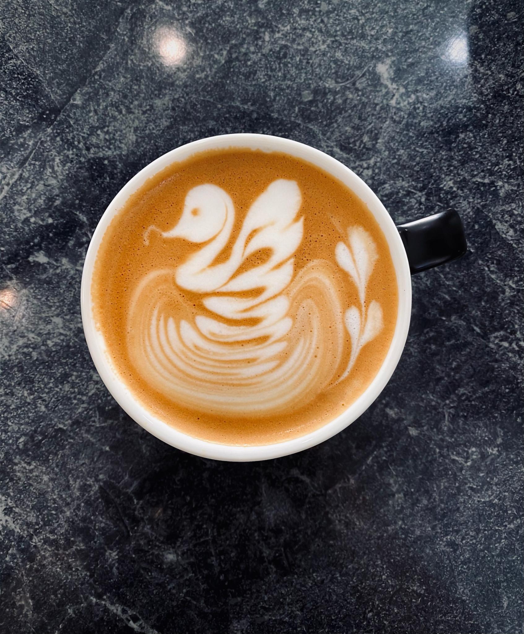 Black Swan Cafe and Coffee Mermaid Waters, Australia