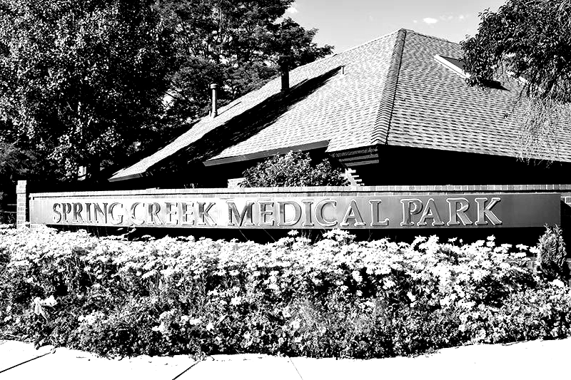 spring creek dental office