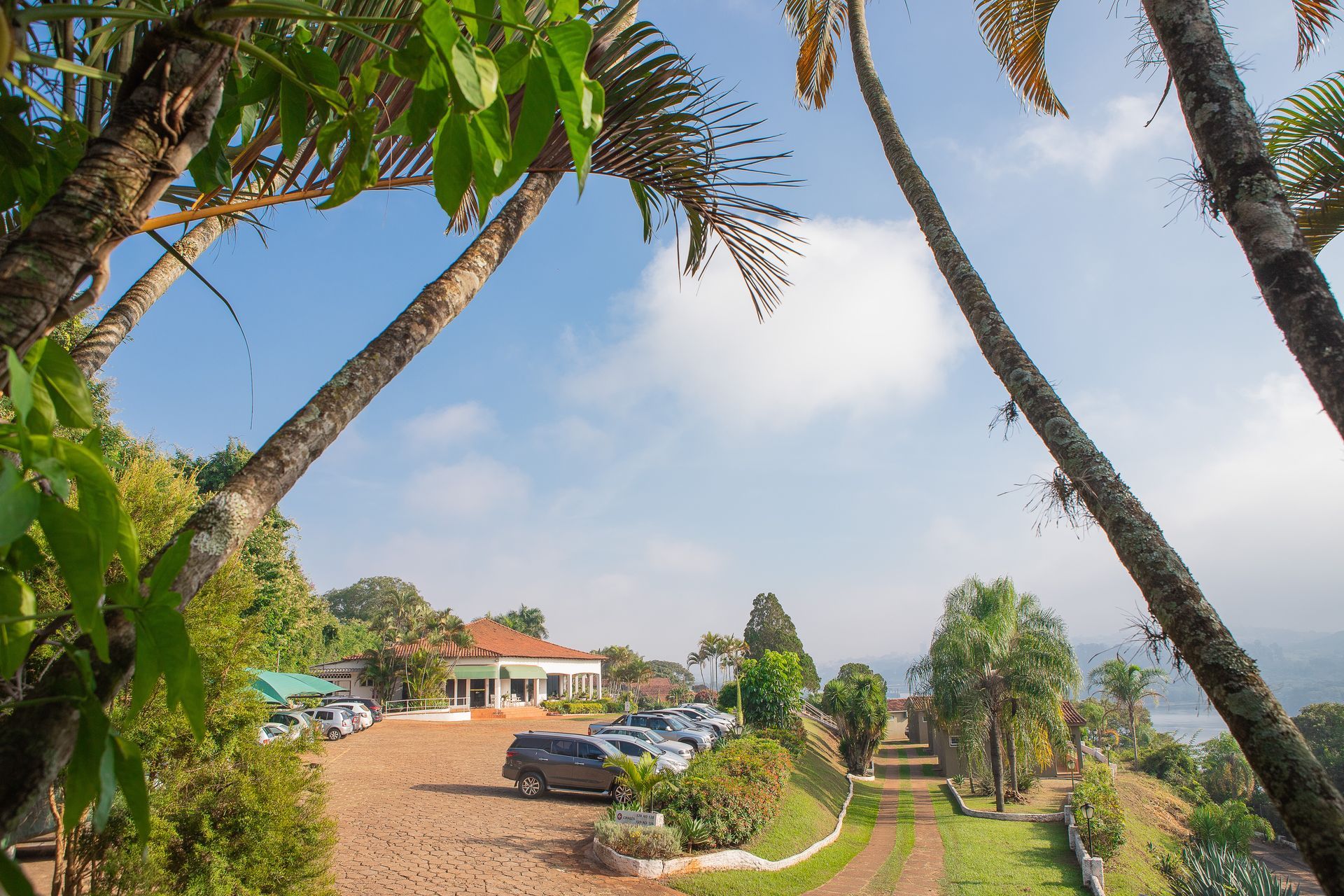 Vista exterior de um edifício com estacionamento e árvores altas contra um céu nublado.