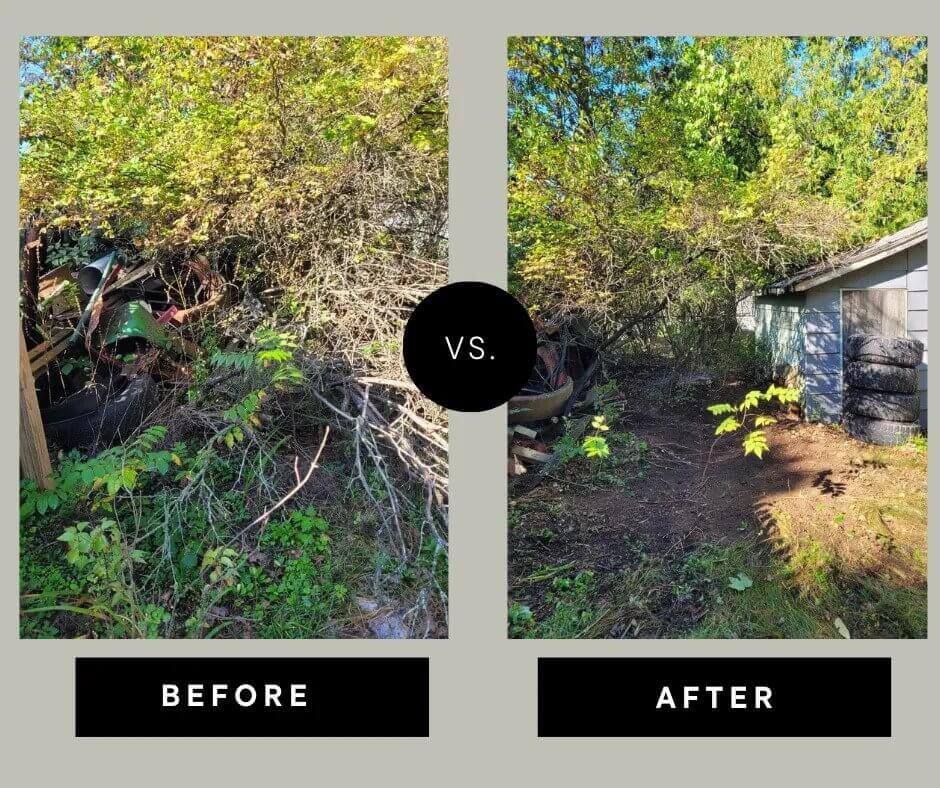 before and after junk removal