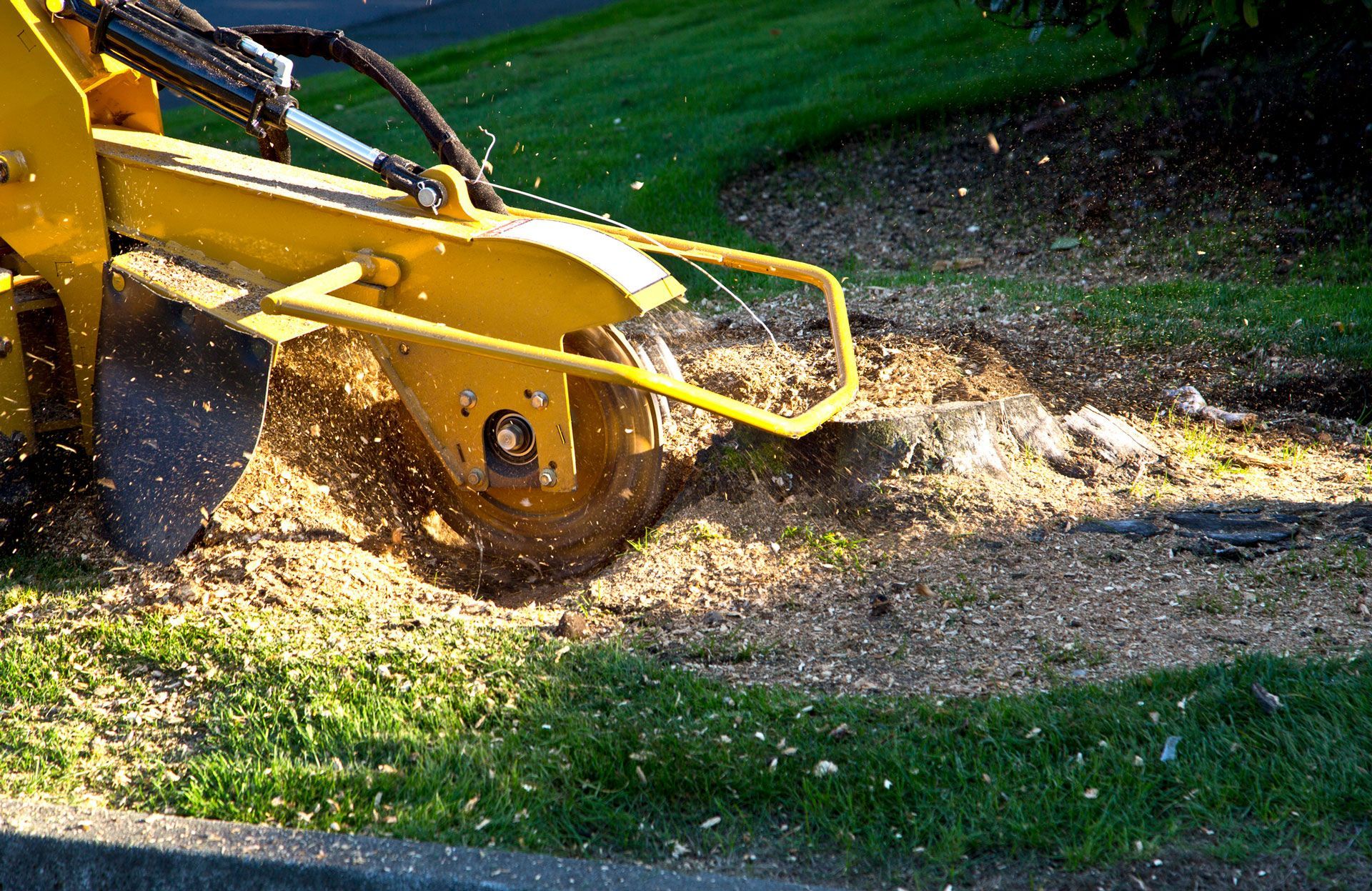A yellow stump grinder is cutting a tree stump in the grass.