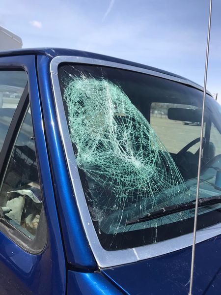 SUV Parked on The Road Near Forest — Cody, WY — Park County Glass