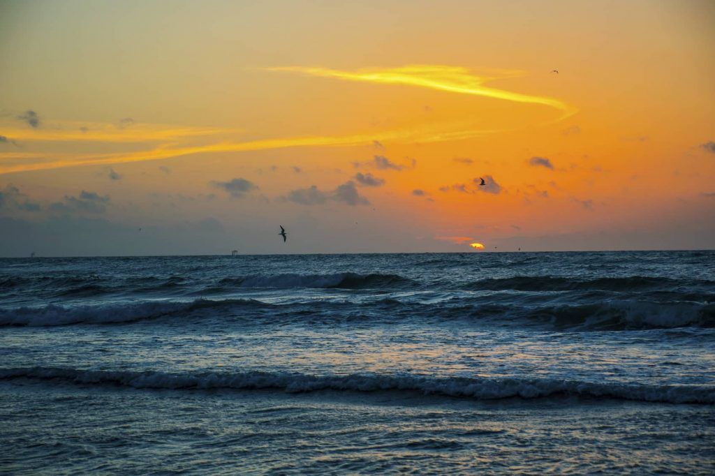 corpus-christi-beach
