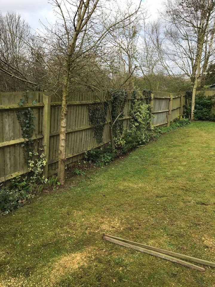 old garden fencing