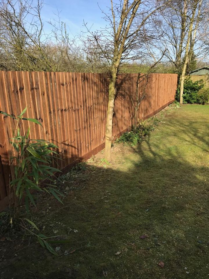 timber fencing in a garden