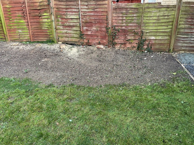 After Bush Removal