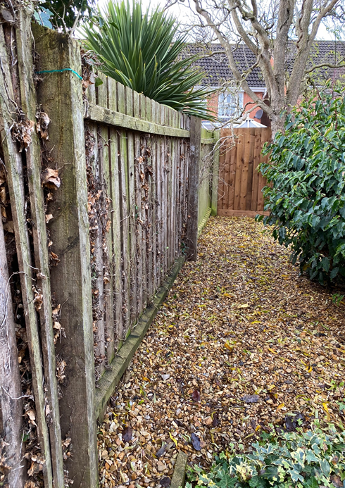 old damaged fencing