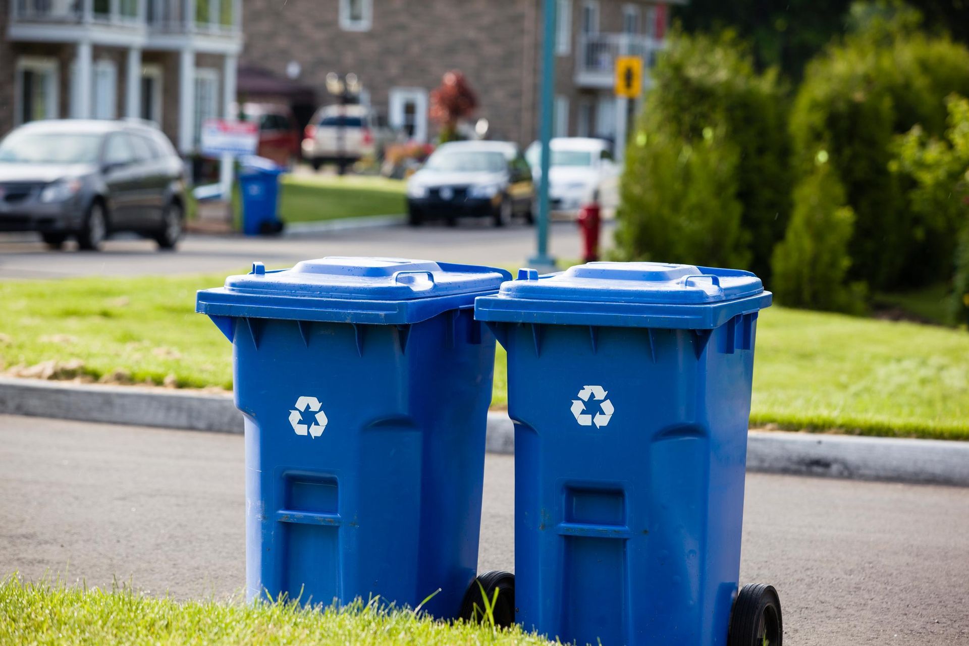 Two blue trash cans are sitting on the side of the road.