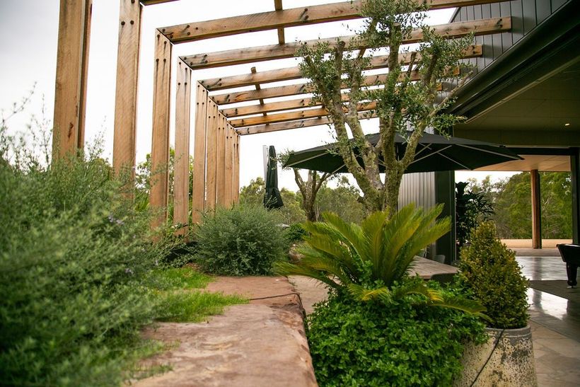 A wooden pergola is surrounded by trees and bushes in a garden.